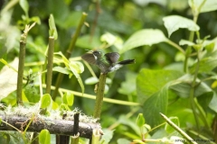 20140614_Guango-Lodge-2_0244