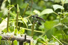 20140614_Guango-Lodge-2_0245