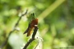 20140614_Guango-Lodge-2_0247