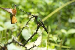 20140614_Guango-Lodge-2_0254