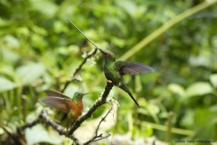20140614_Guango-Lodge-2_0257