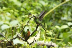 20140614_Guango-Lodge-2_0258