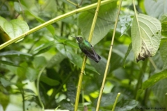 20140614_Guango-Lodge-2_0266