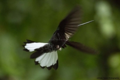 20140614_Guango-Lodge-2_0288