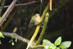 20140614_Guango-Lodge-2_0302
