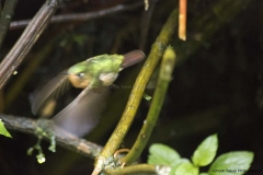 20140614_Guango-Lodge-2_0307