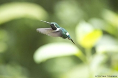 20140614_Guango-Lodge-2_0310