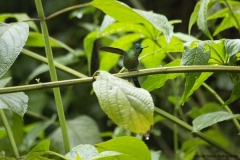 20140614_Guango-Lodge-2_0319