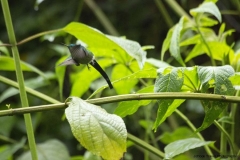 20140614_Guango-Lodge-2_0323