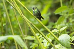20140614_Guango-Lodge-2_0327