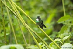 20140614_Guango-Lodge-2_0330