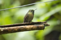 20140614_Guango-Lodge-2_0340