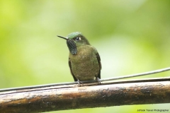 20140614_Guango-Lodge-2_0346