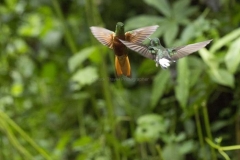 20140614_Guango-Lodge-2_0363
