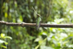 20140614_Guango-Lodge-2_0370