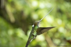20140614_Guango-Lodge-2_0374