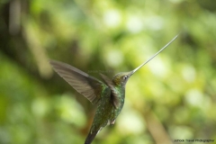 20140614_Guango-Lodge-2_0375