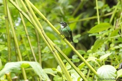20140614_Gunago-Lodge_0583