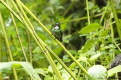 20140614_Gunago-Lodge_0584