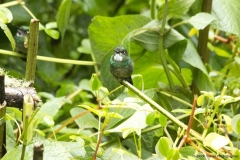 20140614_Gunago-Lodge_0595