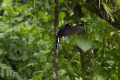 20140614_Gunago-Lodge_0612