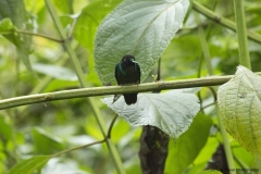 20140614_Gunago-Lodge_0617