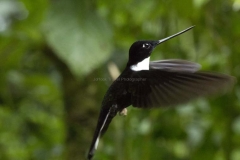20140614_Gunago-Lodge_0618