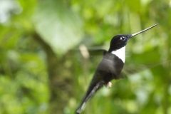 20140614_Gunago-Lodge_0619