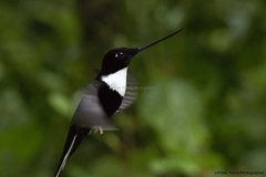 20140614_Gunago-Lodge_0624