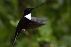 20140614_Gunago-Lodge_0625