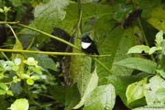 20140614_Gunago-Lodge_0651
