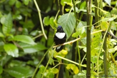 20140614_Gunago-Lodge_0664