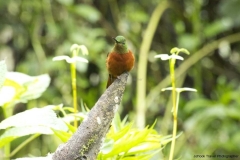 20140614_Gunago-Lodge_0666