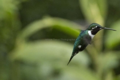 20140614_Gunago-Lodge_0671
