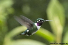 20140614_Gunago-Lodge_0674