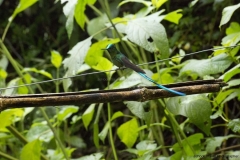 20140614_Gunago-Lodge_0686