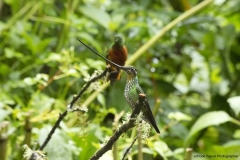 20140614_Gunago-Lodge_0692