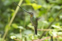 20140614_Gunago-Lodge_0694