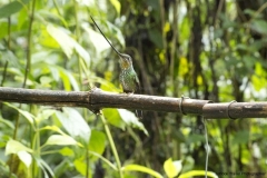 20140614_Gunago-Lodge_0696