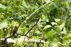 20140614_Gunago-Lodge_0704