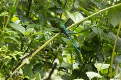 20140614_Gunago-Lodge_0707