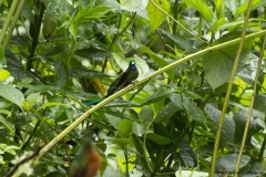 20140614_Gunago-Lodge_0709