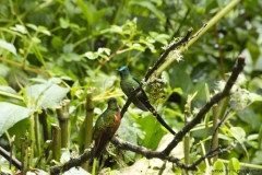 20140614_Gunago-Lodge_0710