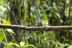 20140614_Gunago-Lodge_0716