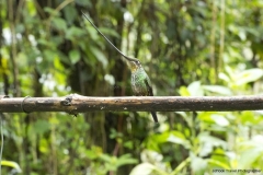 20140614_Gunago-Lodge_0718