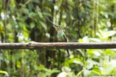 20140614_Gunago-Lodge_0719