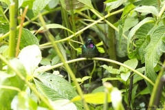 20140614_Gunago-Lodge_0728