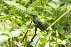 20140614_Gunago-Lodge_0740