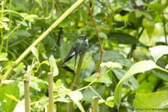 20140614_Gunago-Lodge_0748