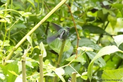 20140614_Gunago-Lodge_0754